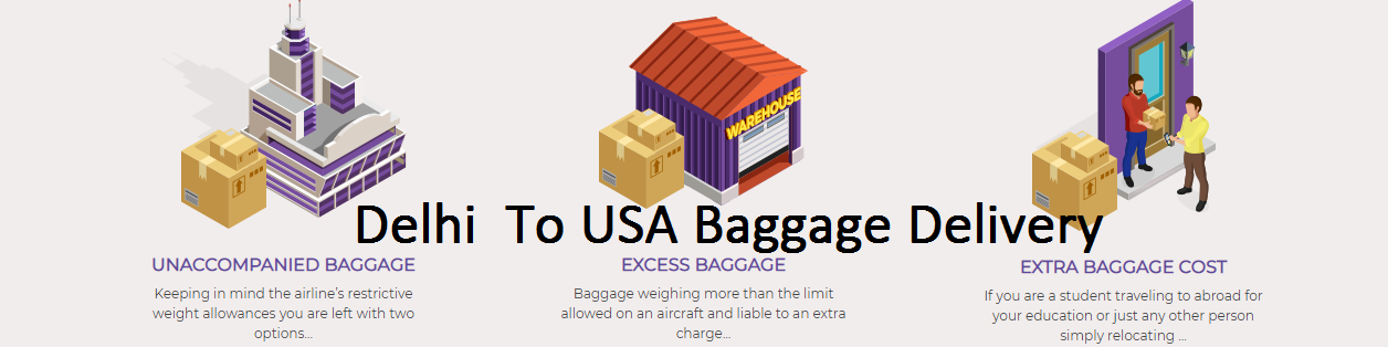 Excess Baggage Delivery Services Unaccompanied Luggage From Delhi To USA, baggage courier to usa, excess baggage to usa charges from delhi