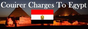 Courier Charges To Egypt From Delhi