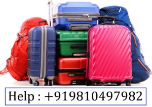 Excess Baggage/Luggage Courier Services