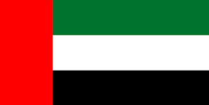 India To UAE Courier Charges