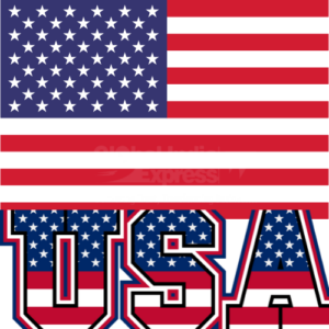 Delhi To USA Courier Charges